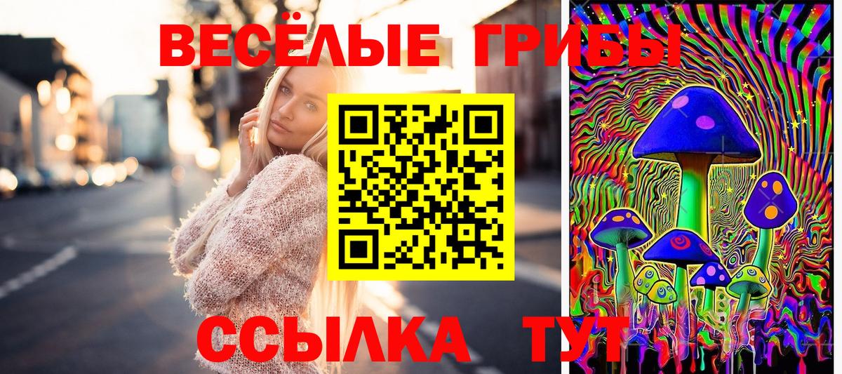 Галлюциногенные грибы Psilocybine cubensis  Псилоцибиновые грибы ЛСД  Вход с VPN  Донецк 