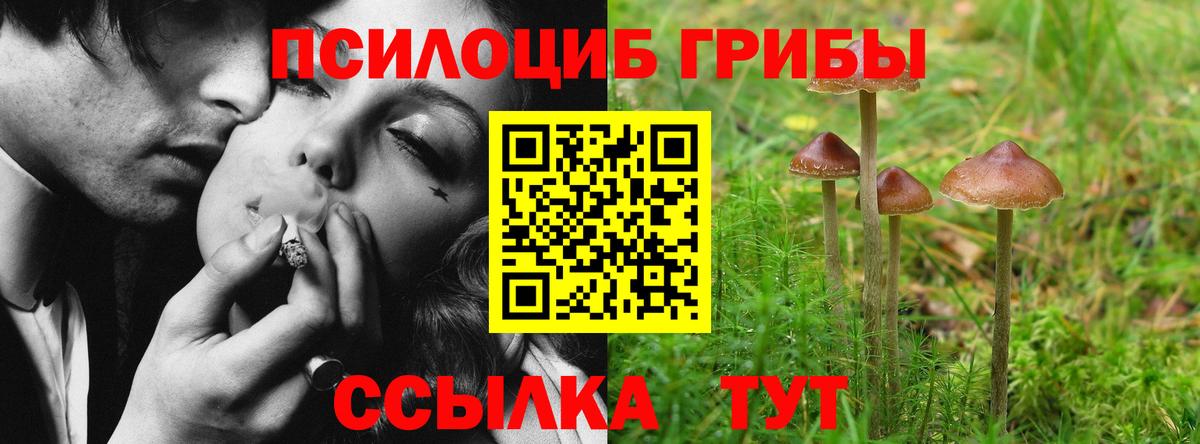 Псилоцибиновые грибы Magic Shrooms Донецк